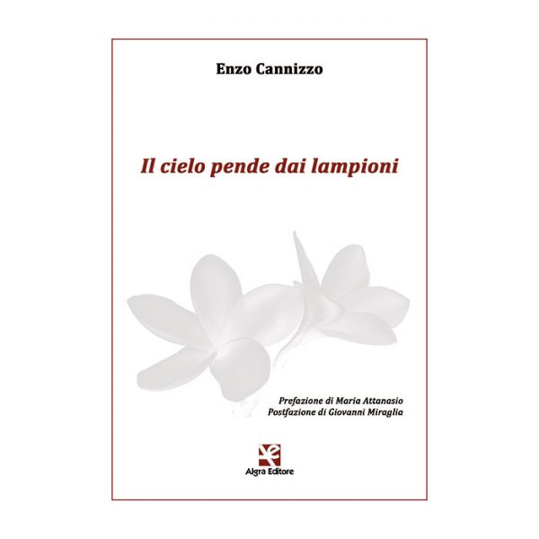 il-cielo-pende-dai-lampioni-enzo-cannizzo