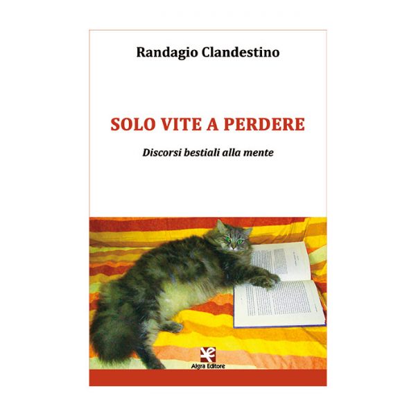 solo-vite-a-perdere-randagio-clandestino