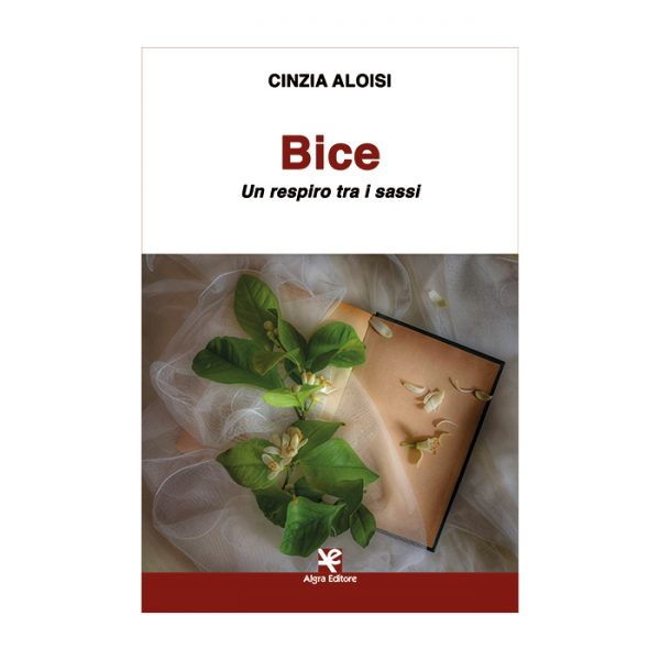 bice-cinzia-aloisi