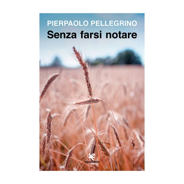 senza-farsi-notare-pierpaolo-pellegrino