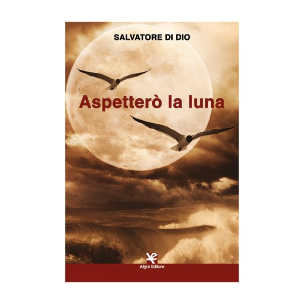 aspettero-la-luna-salvatore-di-dio